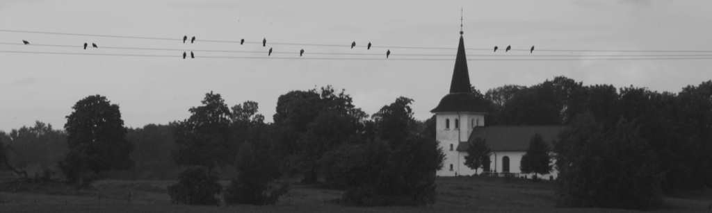 photographe, guillaume, briquet, geneve, suisse